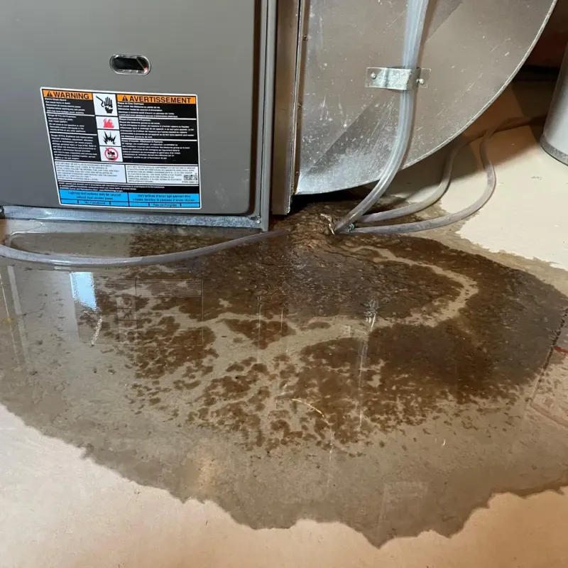 Appliance Leak Cleanup in Henagar, AL